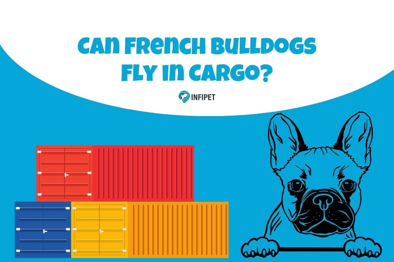 Can French Bulldogs Fly in Cargo