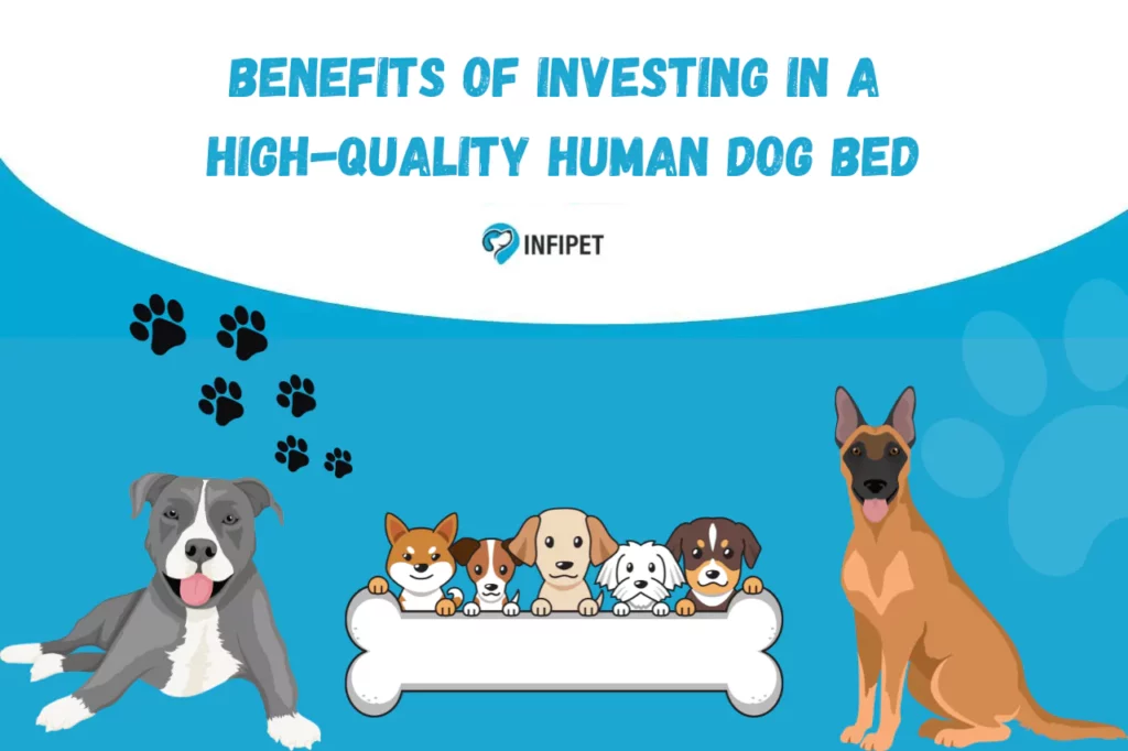 The Ultimate Guide to the Benefits of Investing in a High-Quality Human Dog Bed