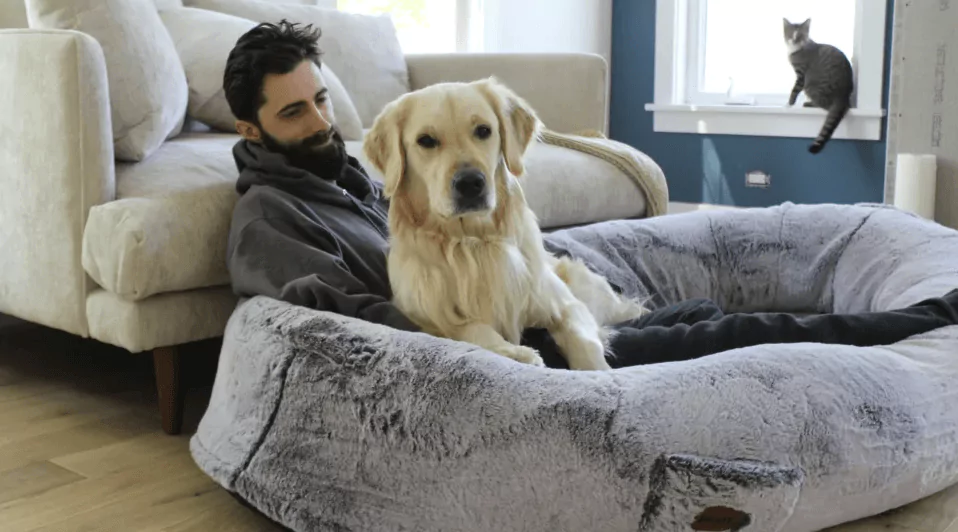 The Ultimate Guide to the Benefits of Investing in a High-Quality Human Dog Bed