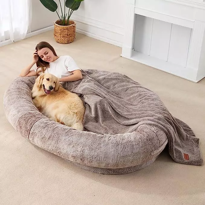 The Ultimate Guide to the Benefits of Investing in a High-Quality Human Dog Bed