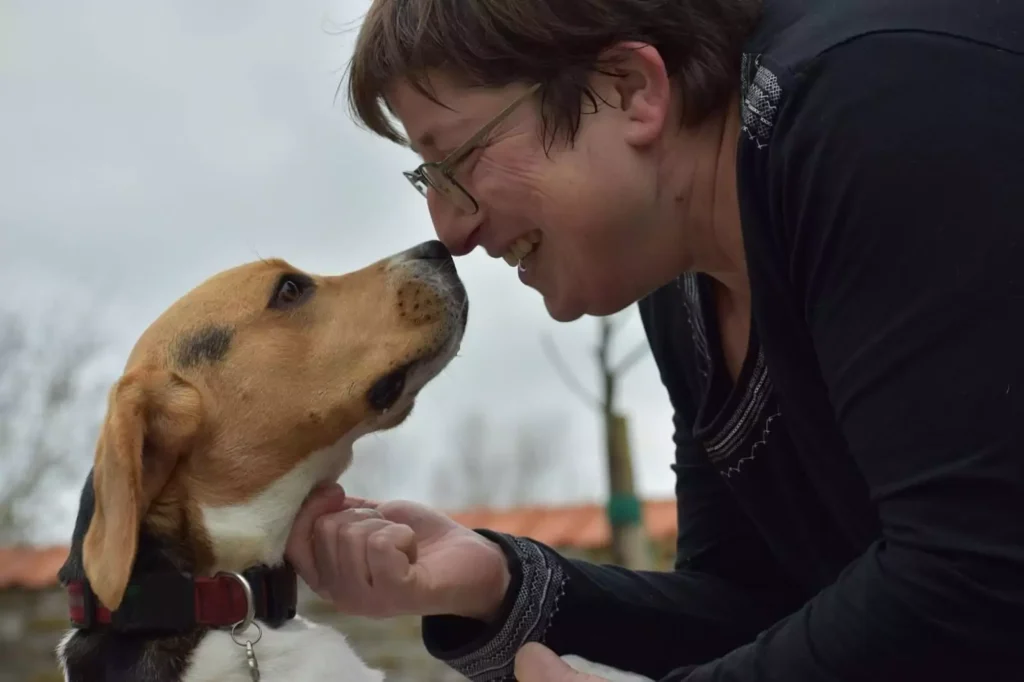 Understanding the Role of Dog Shelters in Community Welfare