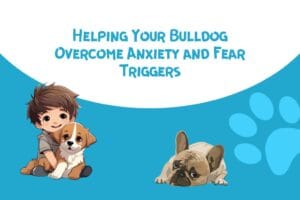 Conquering Fears: Helping Your Bulldog Overcome Anxiety and Fear Triggers