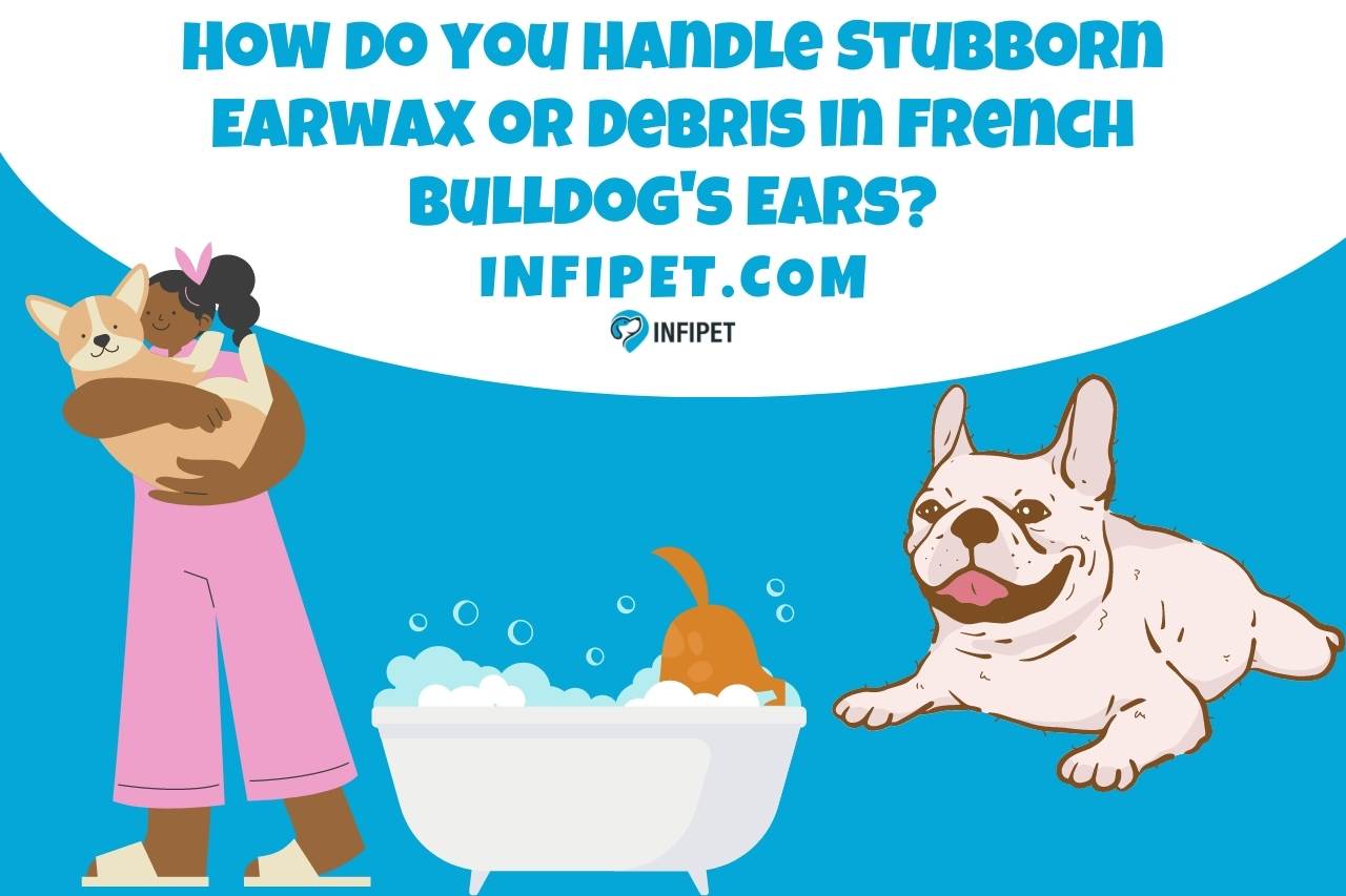 How Do you Handle Stubborn Earwax or Debris in French Bulldog's Ears