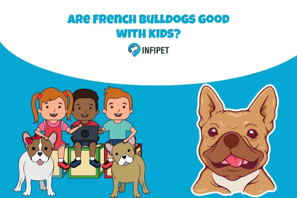 are frenchHow to measure an adult French bulldog for a crate? bulldogs good with kids