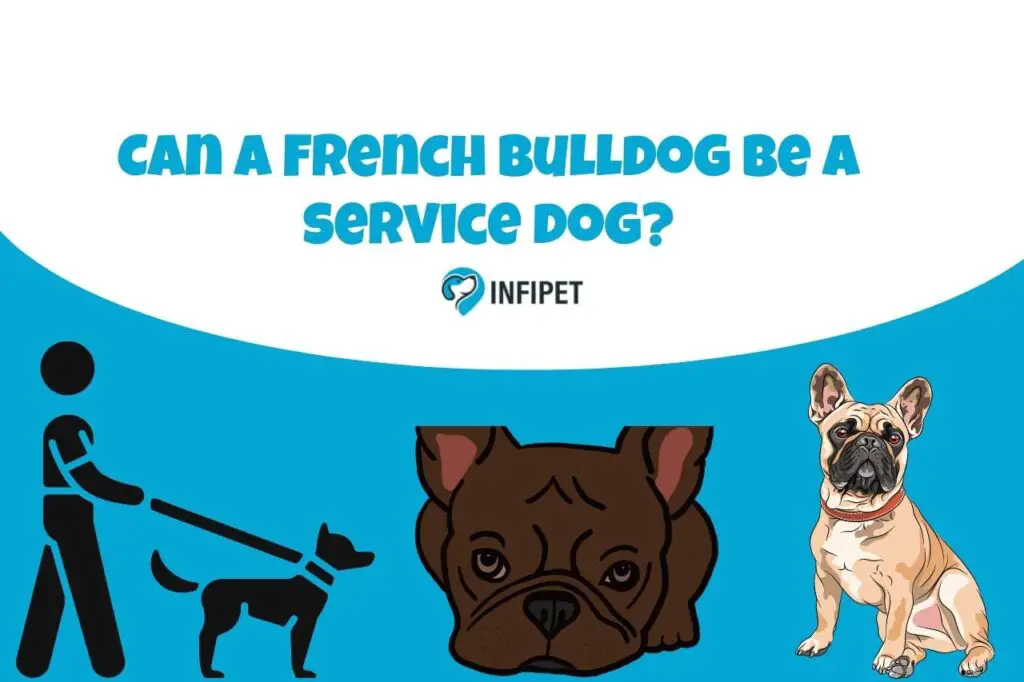 Can a French bulldog be a service dog