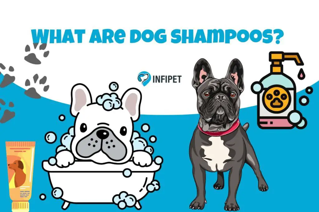 What are dog shampoos