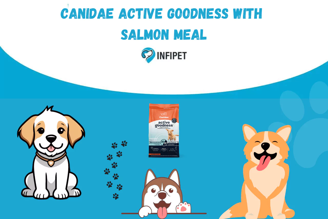 Best Canidae Optimal Nutrition Foods For Your Dog