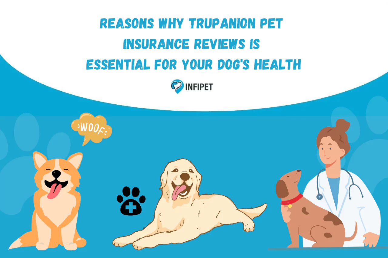 Reasons Why Trupanion Pet Insurance Reviews Is Essential For Your Dog's ...