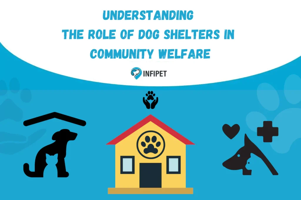 Understanding the Role of Dog Shelters in Community Welfare