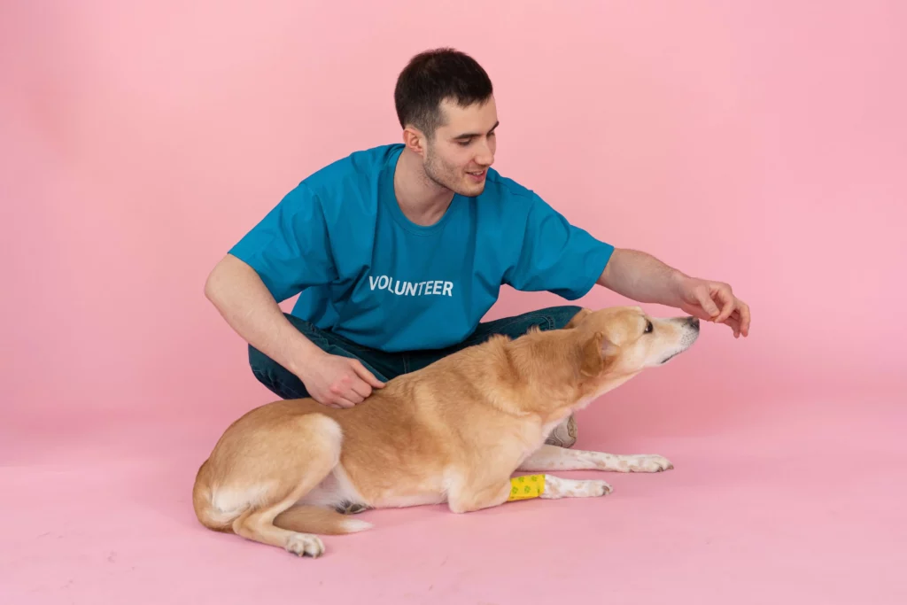 Best Canidae Optimal Nutrition Foods For Your Dog in 2023