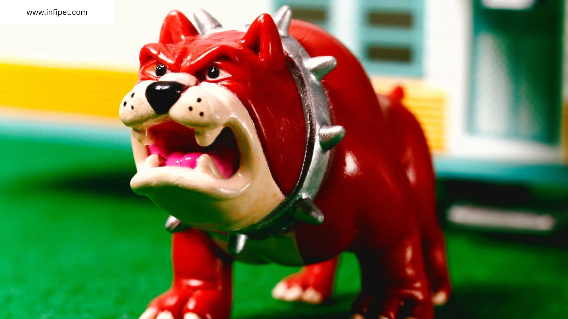 Understanding and Managing Aggressive Bulldog Behavior
