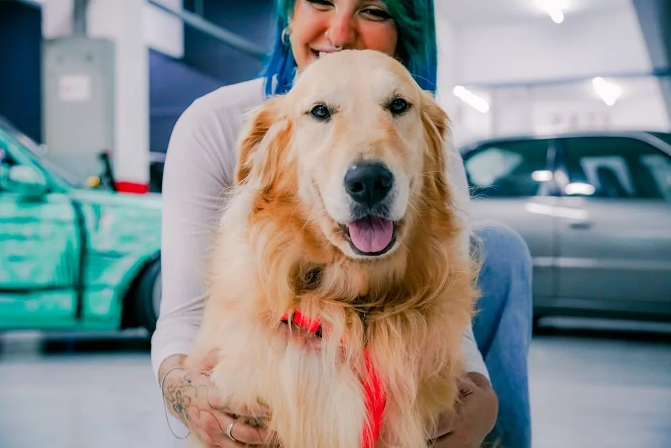 how long do golden retrievers live factors that affect lifespan