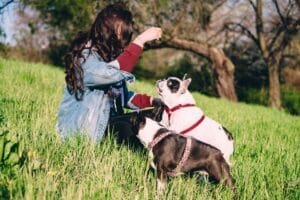 french bulldog separation anxiety signs and solutions